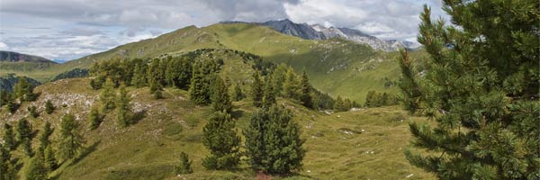 The grassland on the top of Cornon Mountain